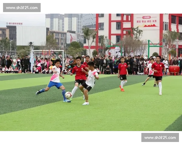 全民参与共筑未来足球体育推广创新发展之路行动计划与实践探索