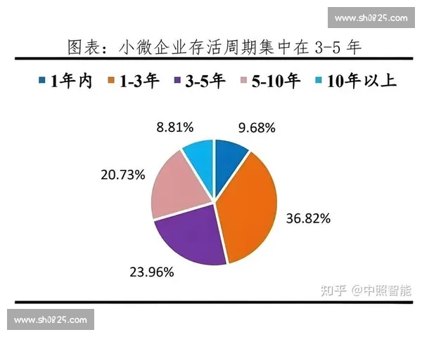 体育行业多元化盈利模式创新与可持续发展路径探析数字化转型驱动下
