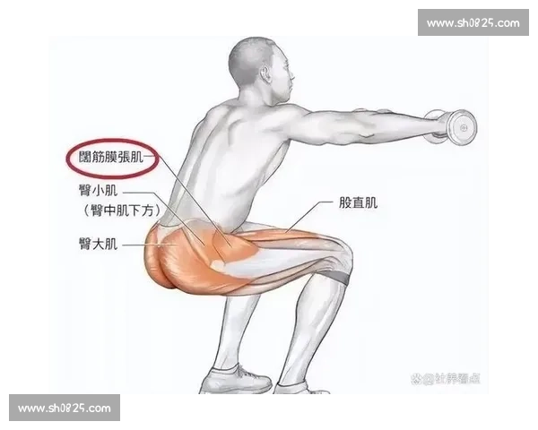 提升下肢力量与运动表现的有效训练方法及其对健康的积极影响 提升下肢力量与运动表现的有效训练方法及其对健康的积极影响